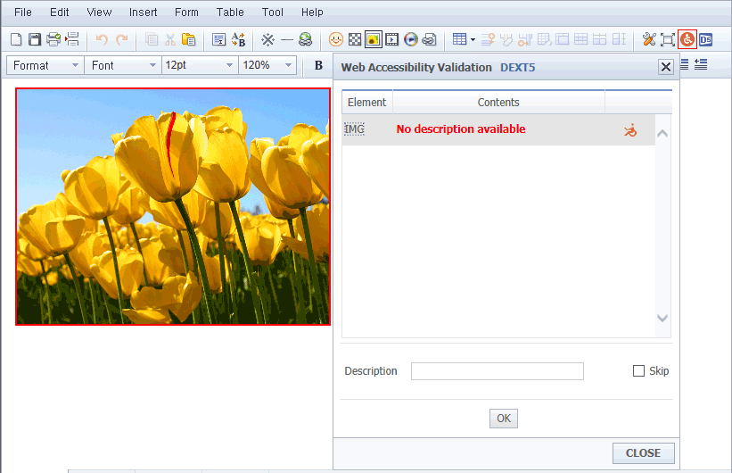 Images Web Accessibility Validation view1